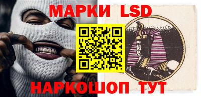 тгк Кингисепп