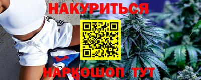 тгк Кингисепп