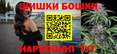 тгк Кингисепп