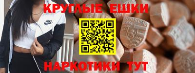 тгк Кингисепп