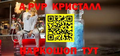 тгк Кингисепп